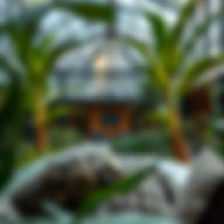 Magnificent Exploring Botanica JVC: Insights Into a Vibrant Community