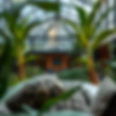 Magnificent Exploring Botanica JVC: Insights Into a Vibrant Community Magnificent Exploring Botanica JVC: Insights Into a Vibrant Community