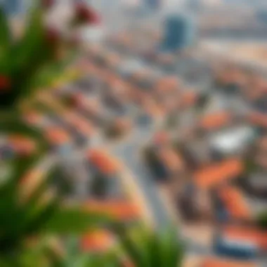 Aerial View of Dubai Neighborhoods An aerial view of a vibrant neighborhood in Dubai
