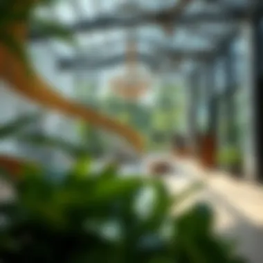 Exploring Botanica JVC: Insights Into a Vibrant Community Summary Exploring Botanica JVC: Insights Into a Vibrant Community Summary