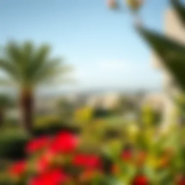 Enhancing Property Appeal with Vibrant Garden Landscapes Vibrant garden landscape enhancing residential property appeal
