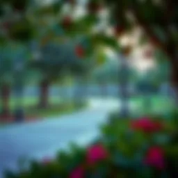 Exploring Hills Park in Dubai Hills Estate Introduction