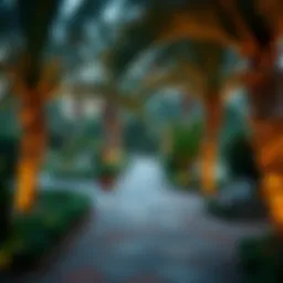 Exploring the Best Parks in Dubai: A Comprehensive Guide Introduction