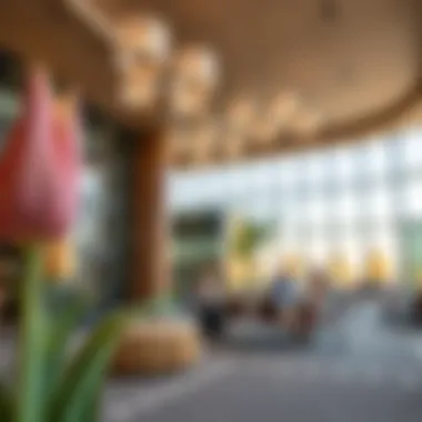 Vibrant community amenities at Mirdif Tulip