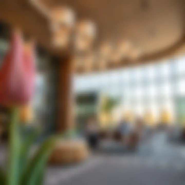 Vibrant community amenities at Mirdif Tulip