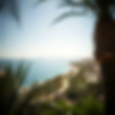 Serene coastal landscape surrounding Palma Jebel Ali