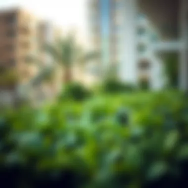 Nature's Touch in Urban Living Close-up of lush greenery within a Dubai residential district